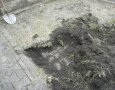Nečekaný objev, původní starý chodníček který byl po dlouhá desetiletí ukryt pod půdou