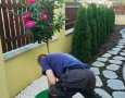 Postupné doladění detailů