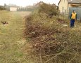 Již probíhající likvidace trnitého živého plotu
