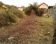 Pohled do prostoru již téměř vyřezaného živého plotu
