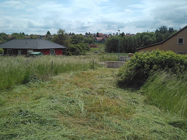 Pohled na vysokou trávu a náletoviny