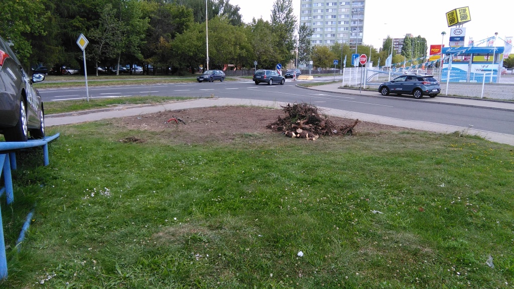 ...místo je již vyčištěno a připraveno k výsevu trávníku