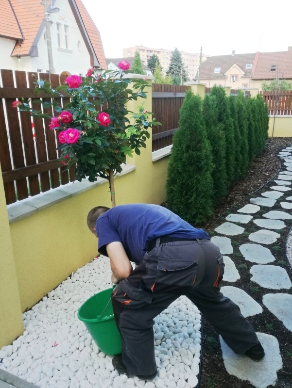 Postupné doladění detailů