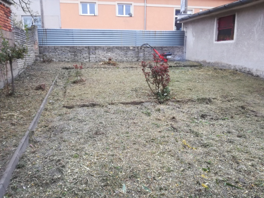 Ještě jeden pohled na zmulčovaný původní porost